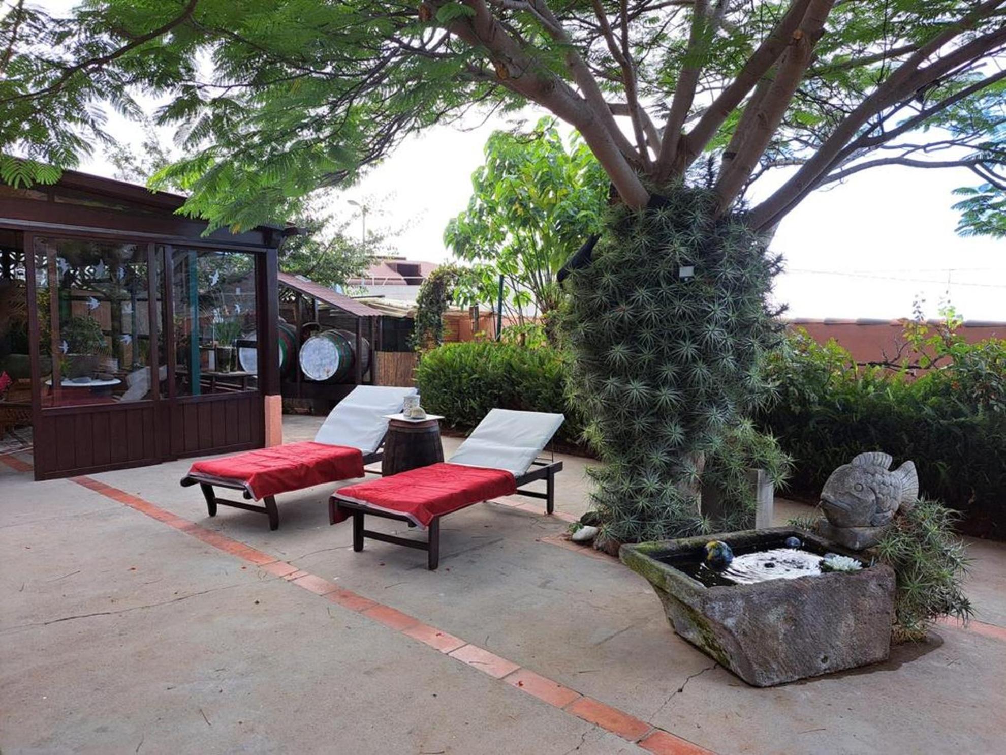 Finca Cebollino La Orotava Dış mekan fotoğraf